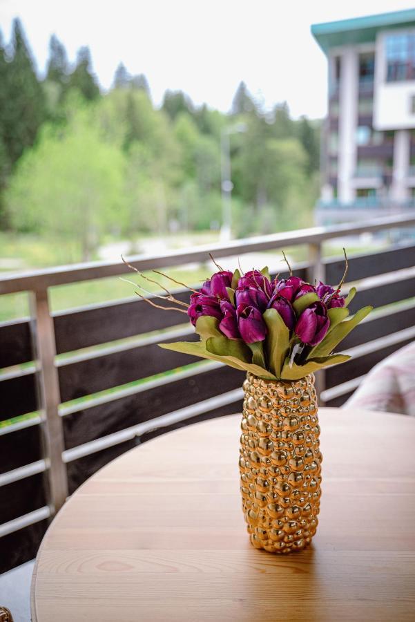 פויאנה ברשוב Silver Mountain Resort & Spa מראה חיצוני תמונה